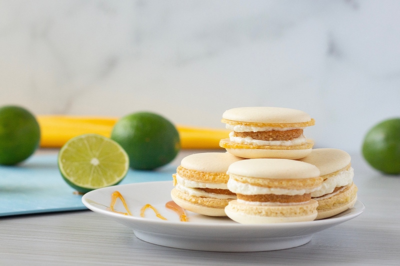 arrangement of macarons in front of replica surface