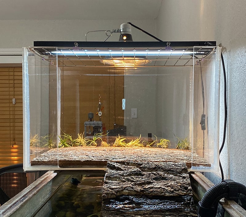 Custom DIY Turtle Basking Area completed with air plants and lights