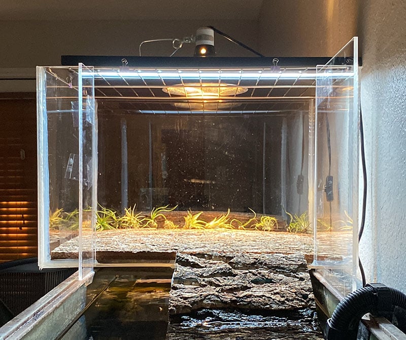 Custom DIY Turtle Basking Area completed with airplants and lights