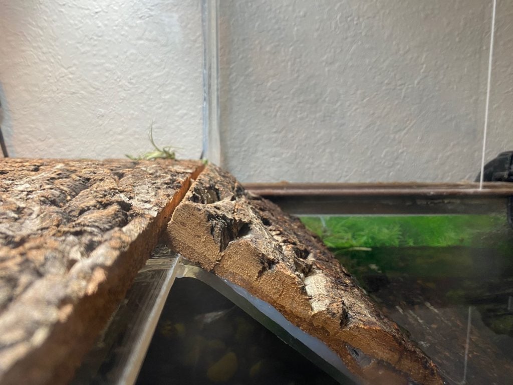 side view of the turtle basking box ramp attachment