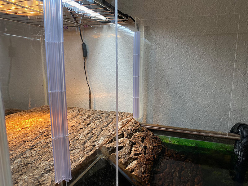 side walls on a custom basking box help together by sneeze guards