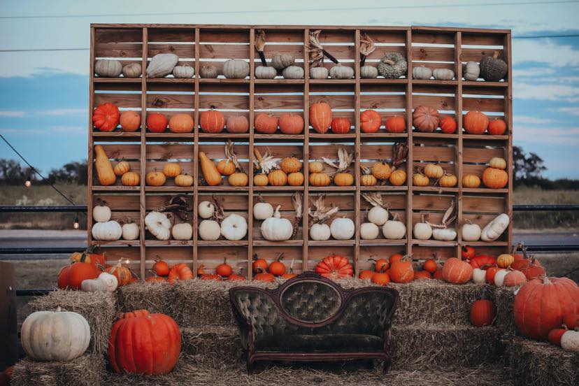 Pumpkin display at Pitchfork Pumkin Patch