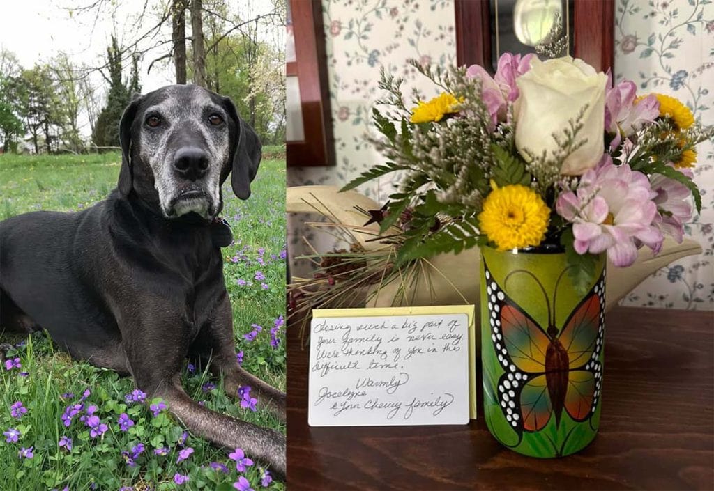 Flowers sent from Chewy to Anne Marie when her dear Coalbie passed away