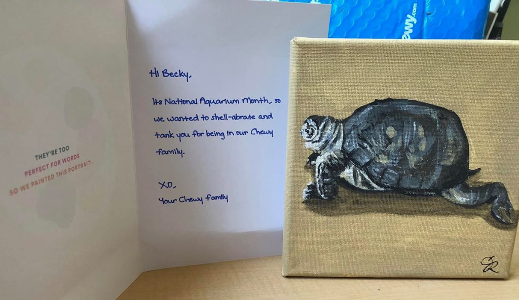 Note and pet portrait from Chewy for Becky and her turtle Speedy. The text reads "Hi Becky, It's National Aquarium Month, so we wanted to shell-abrate and tank you for being in our Chewy family. XO, Your Chewy Family"