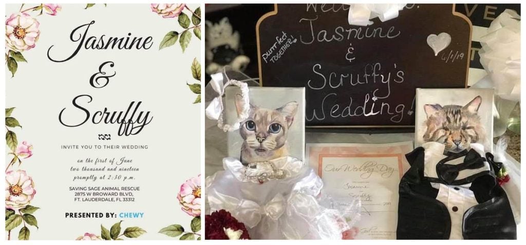 Wedding invitation, portraits and wedding attire courtesy of Chewy