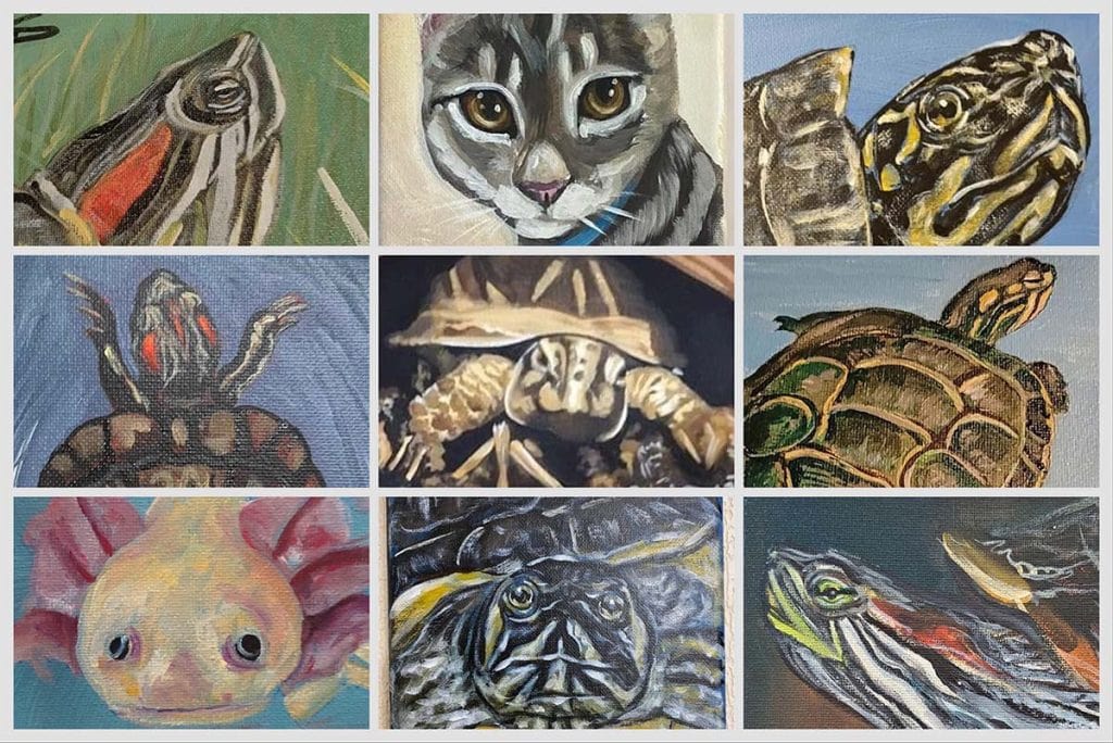 collage of custom animal art portraits sent by Chew